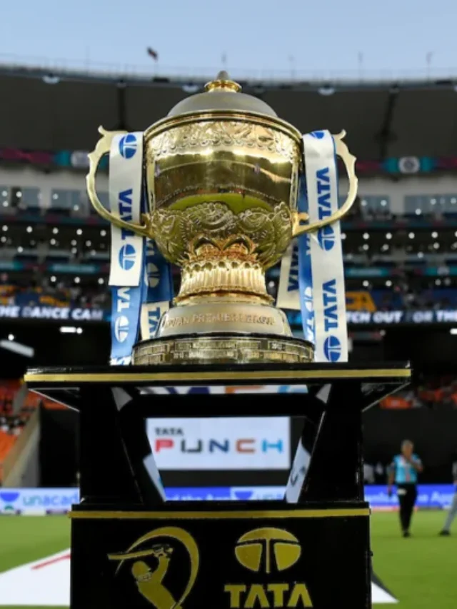 IPL 2024: Get Ready for a Thrilling Cricket Auction with 333 Players!